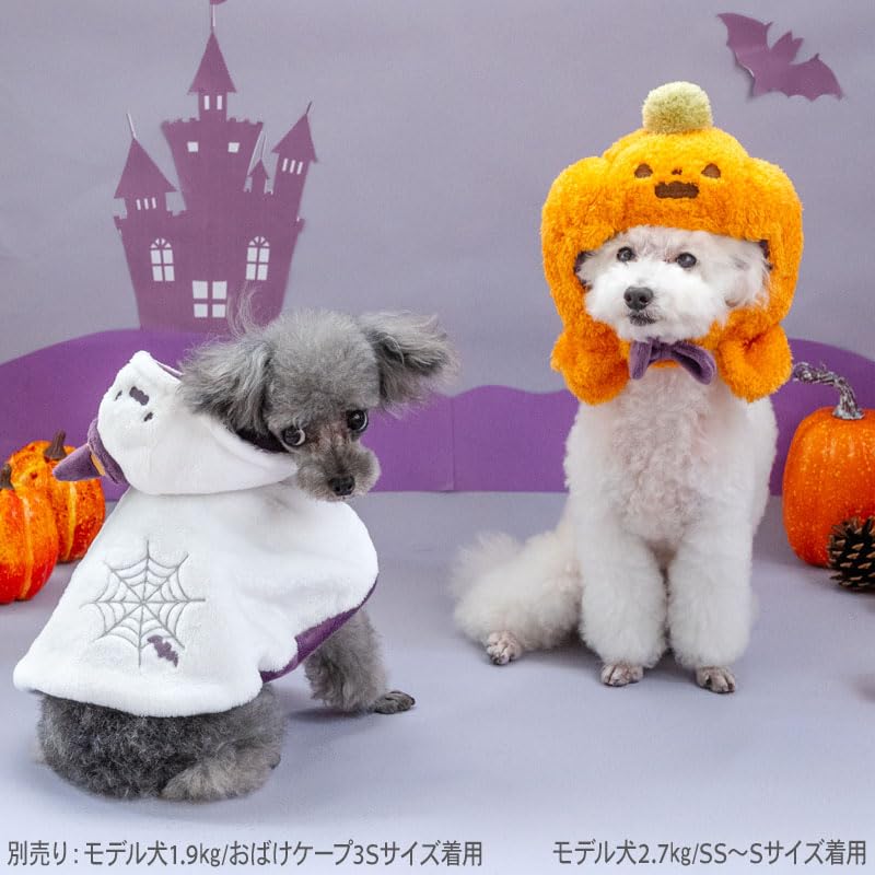 ペットパラダイス➖サイズSS➖３枚 ペットパラダイス くまちゃん 総柄リード SS～S / PET